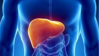 BMC Gastroenterology： 先前乙型肝炎病毒感染是<font color="red">肝细胞</font>癌切除术后慢性丙型肝炎患者存活的影响因素