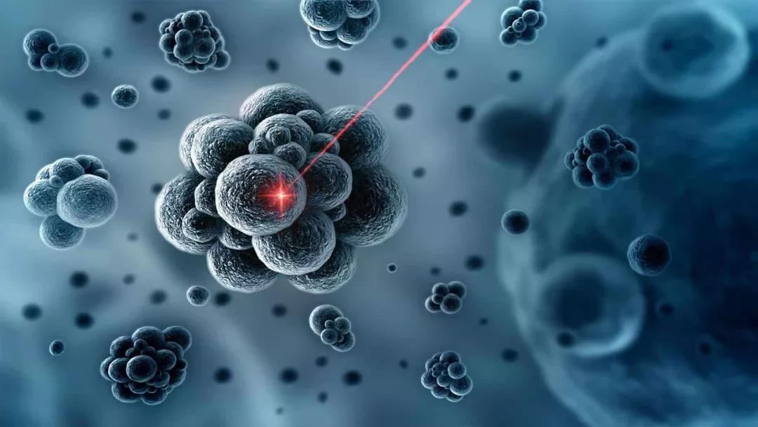Sci Rep：抗击癌症之光——新型光敏剂精准击杀癌细胞