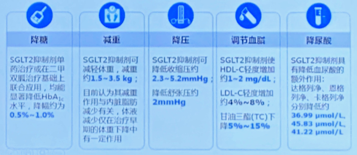 SGLT2抑制剂临床应用专家指导建议解读 | <font color="red">CDS2019</font>
