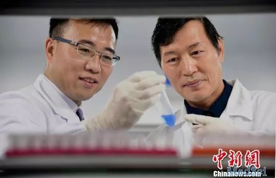 已成功治疗两名艾滋病患者，武汉科技大学两位教授发明治艾滋病新方法？