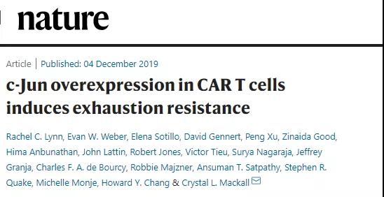 Nature：揭秘CAR-T疗法T细胞耗揭的关键原因，有望进一步攻克实体瘤！