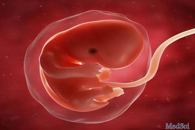 J Pineal Res：褪黑激素可保护鱼藤酮诱导的胚胎发育障碍