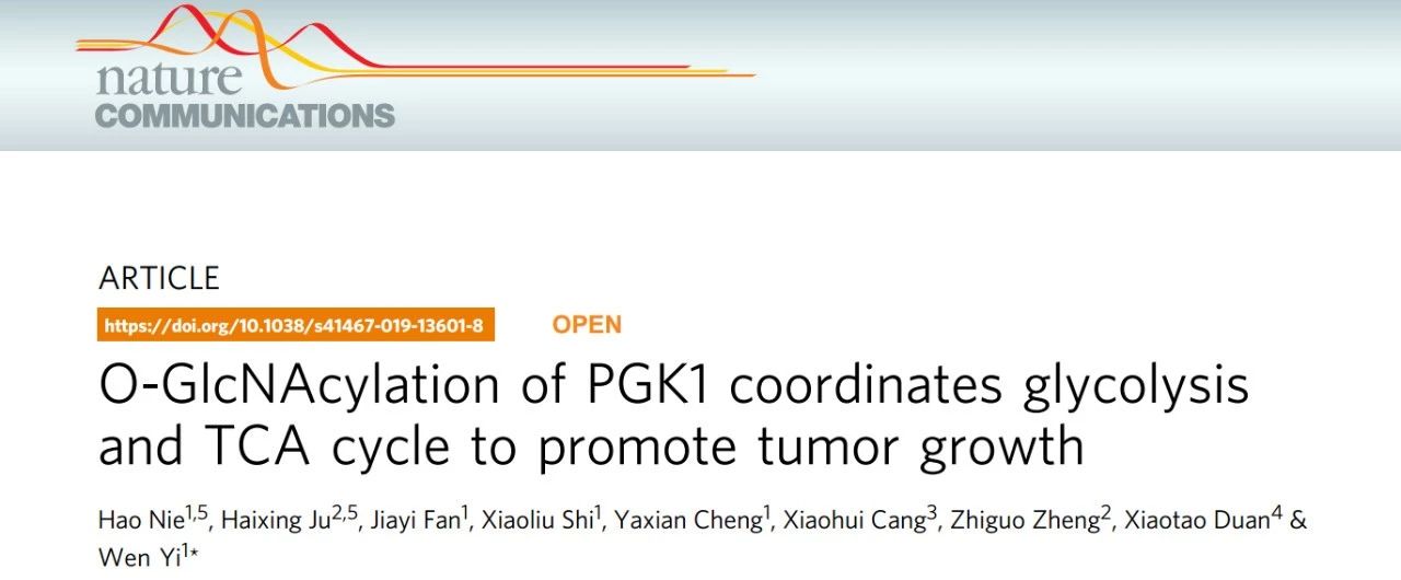 Nat Commun：浙大易文组揭示肿瘤生长新机制，代谢酶PGK1糖基化修饰促癌