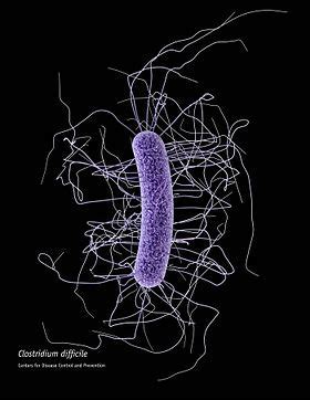抗击艰难梭菌：“粘性抗生素”或可有效减少万古霉素的丢失