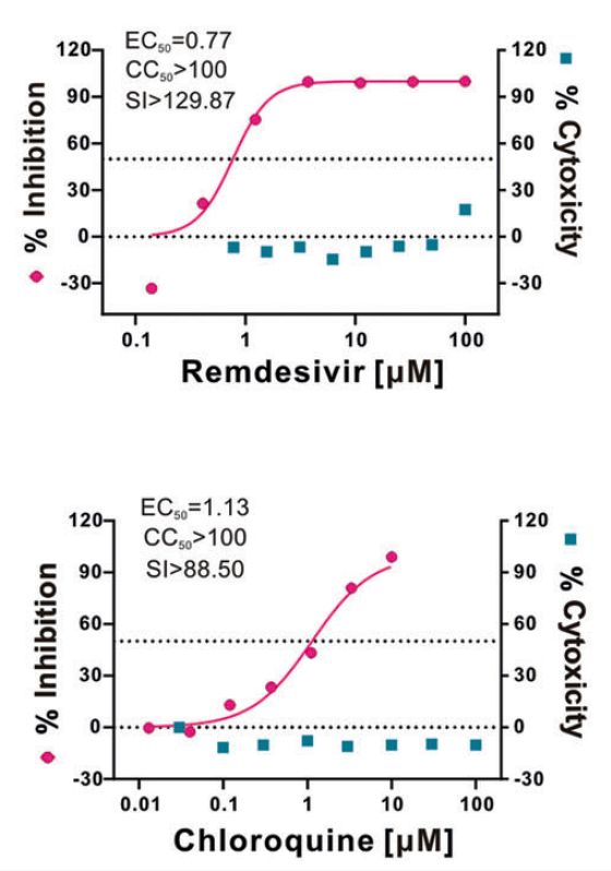 Cell Res：瑞德西韦和磷酸氯喹能在体外有效抑制新型冠状病毒（2019-nCoV））