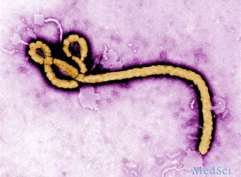 ERVEBO（扎伊尔型埃博拉病毒疫苗）已在欧盟、美国、非洲等地上市