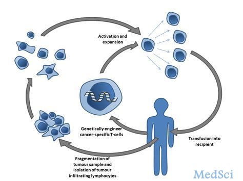 细胞疗法MGTA-456治疗遗传性代谢疾病的最新II期数据