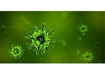 bioRxiv：我科学家解析出新冠病毒细胞受体全长结构