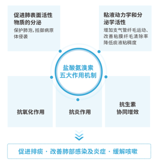 临床应用广泛的黏液动力药——中国首个氨溴索雾化吸入剂易安平®上市