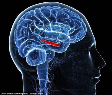 stroke：评估卒中患者脑部血流情况须测量血压