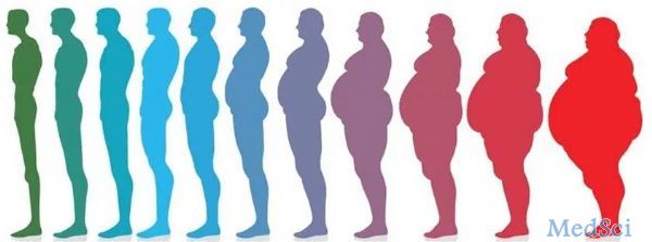 Diabetes Metab Res Rev: T2DM患者胖瘦不同，发病机制不同