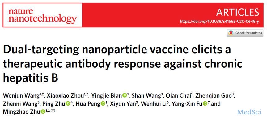 Nature子刊：治疗性乙肝疫苗新进展，淋巴结靶向纳米疫苗免疫新机制