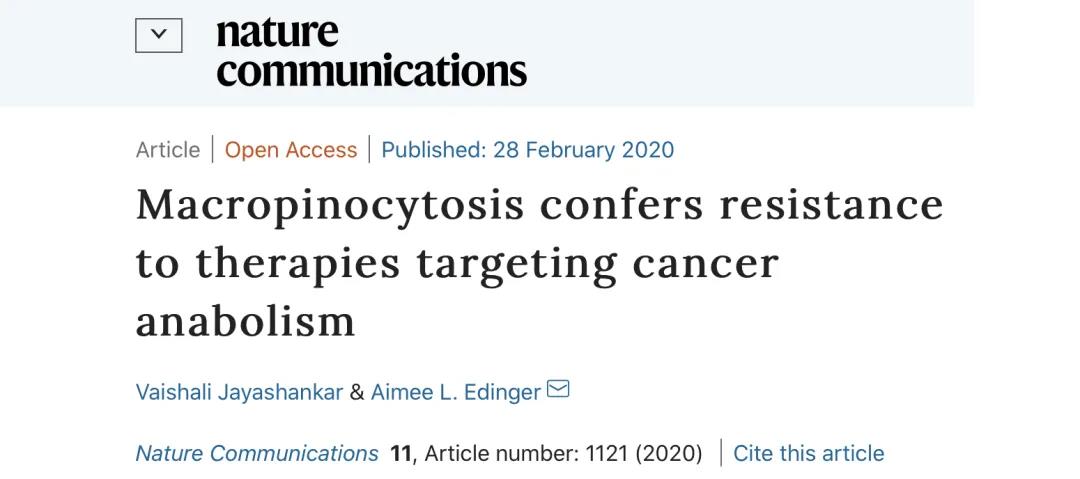 Nat Commun：「巨胞饮」导致肿瘤耐药：「饿不死」的癌细胞还能吃自己！